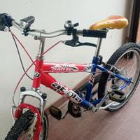 Bicicletta bambino 20 pollici
