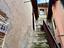 Immagine 11