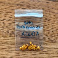Peperoncino Acrata
