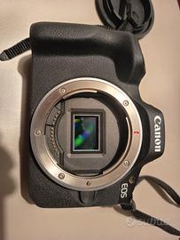 Canon EOS R50