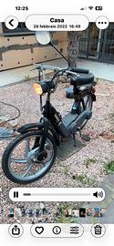 Ciao catalized piaggio