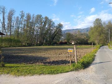 Montignoso - terreno agricolo mq 2.000