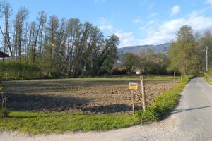 Montignoso - terreno agricolo mq 2.000