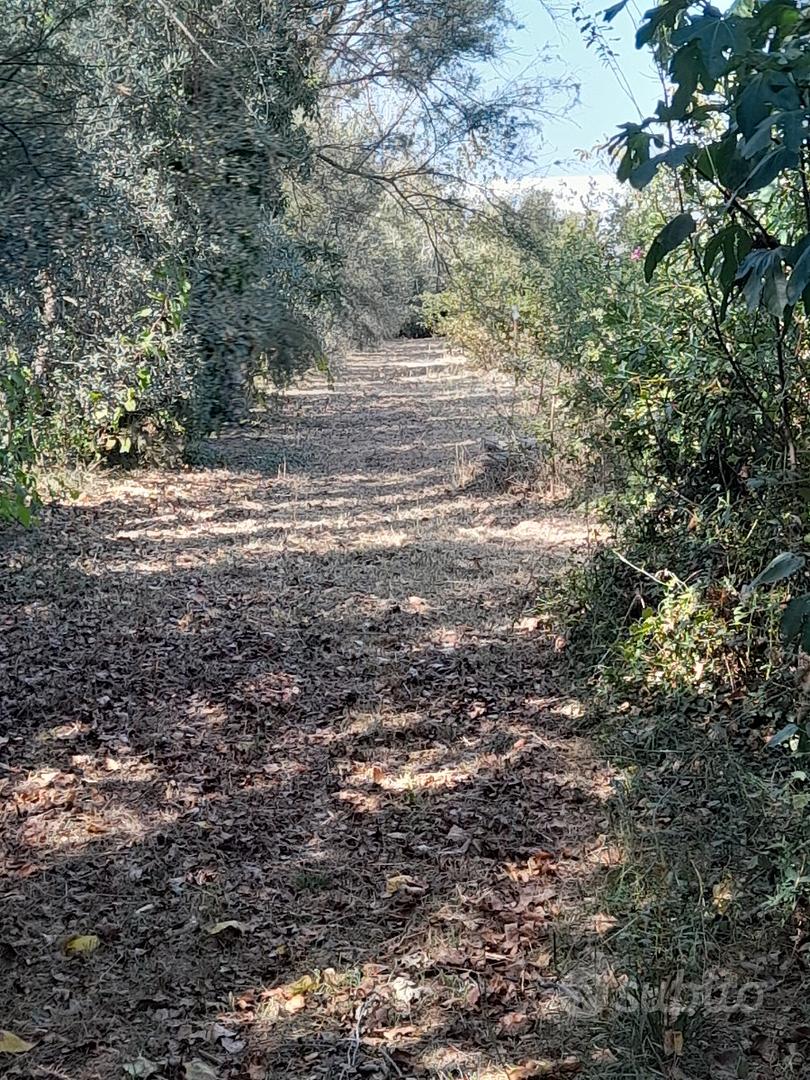 Terreno a vada - Vista 4