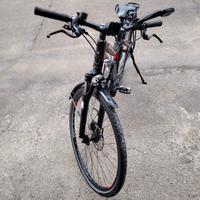 biciclette elettrica