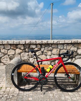 Specialized Tarmac SL6