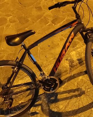 bici Hogan