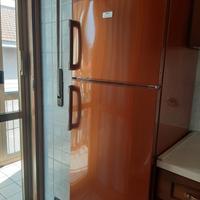 Frigorifero Rex Electrolux insight living 