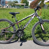 Focus Raven Rookie 24
