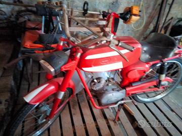 moto Malaguti gam