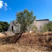 RGE 117/2023 Trib Tempio Pausania