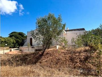 RGE 117/2023 Trib Tempio Pausania