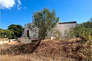 RGE 117/2023 Trib Tempio Pausania