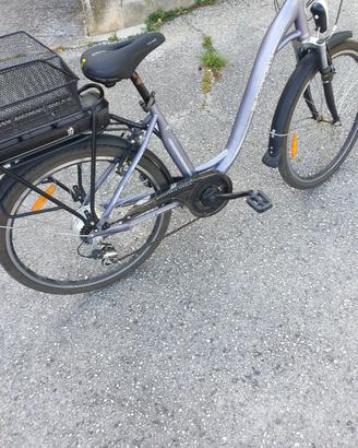 bicicletta elettrica 