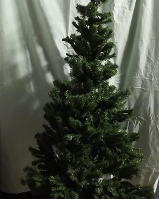Albero di natale