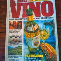 Rivista il mio vino 🍷8 2003 Verdicchio 