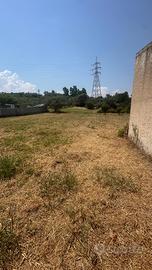 Terreno Agricolo con casetta agricola Milazzo