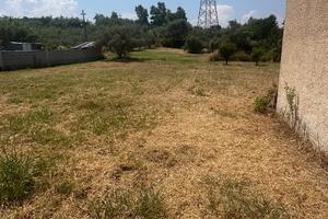 Terreno Agricolo con casetta agricola Milazzo