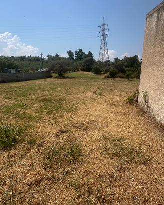 Terreno Agricolo con casetta agricola Milazzo