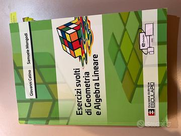 Esercizi svolti di geometria e algebra lineare