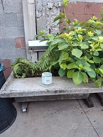 Lavabo in pietra da giardino