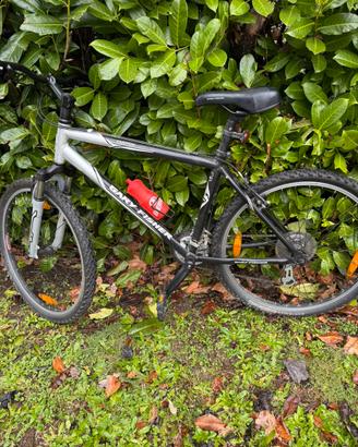 MTB adatta a percorsi alternativi