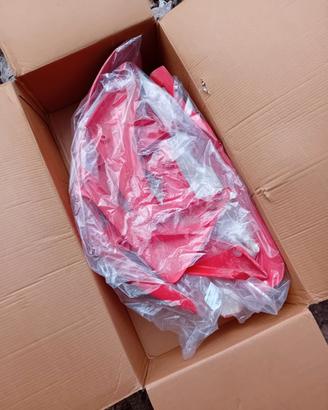 CARENA HONDA CRF 250