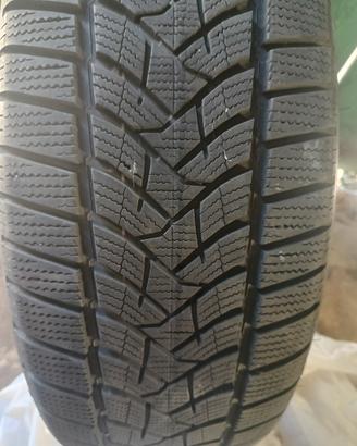 Pneumatici invernali  225/55 R19