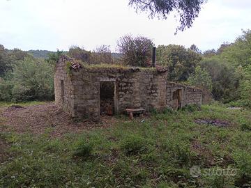 Terreno agricolo con rustico