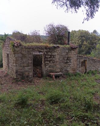 Terreno agricolo con rustico