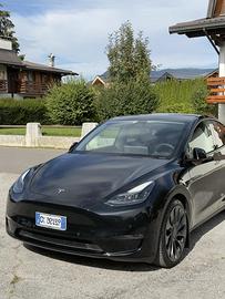 Tesla Model Y Performance