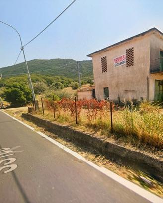 Località fonte terreno con rustico lungo la ss 166