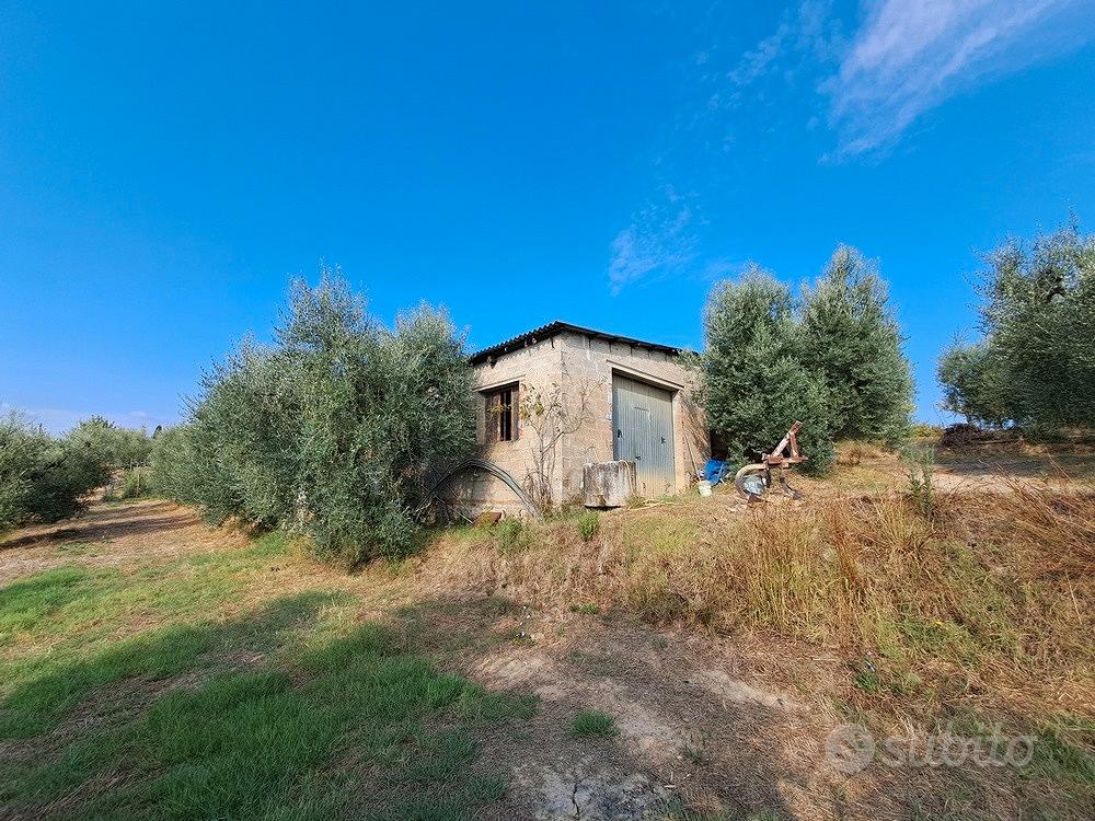 Podere in collina Terricciola Pisa - Vista 4