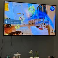 Televisione LG 65 pollico