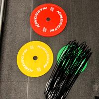Dischi Powerlifting Kingsgym
