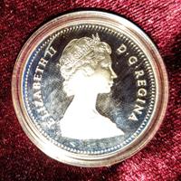 DOLLARO ARGENTO CANADESE 1981 PROOF FDC