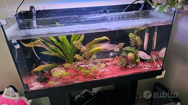 Acquario Milo 80 MTB Nero (93L) con Filtro Esterno