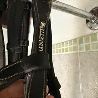 Sella Equestro Completa Salto Ostacoli