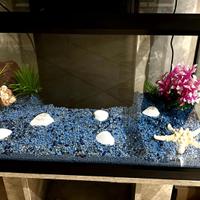 Acquario 55 l con decorazioni