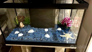 Acquario 55 l con decorazioni