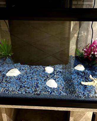 Acquario 55 l con decorazioni