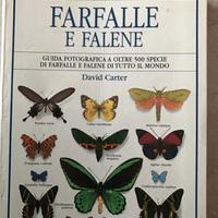 Libro sulle farfalle 500 specie fotografate