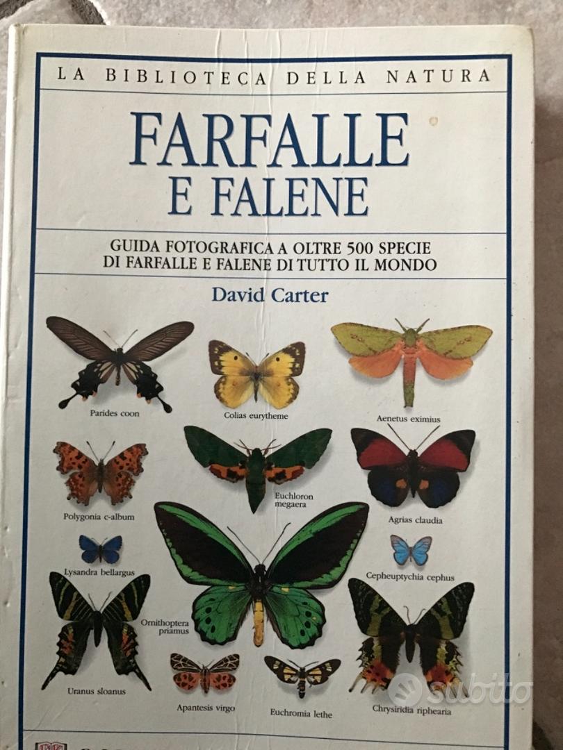 Libro sulle farfalle 500 specie fotografate - Libri e Riviste In vendita a  Milano