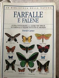 Libro sulle farfalle 500 specie fotografate
