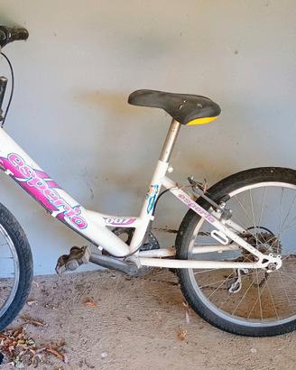 biciclette  varie 
