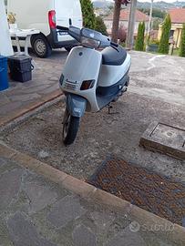 zip 50