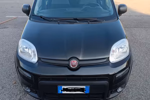 PANDA HYBRID  1.0. S&S