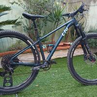mtb Liv