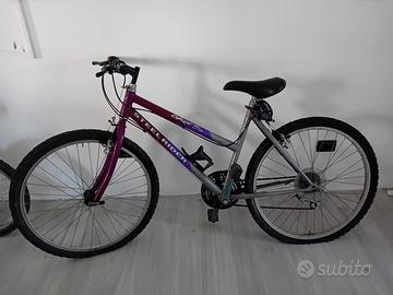 Bicicletta adulto