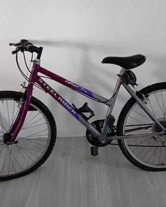 Bicicletta adulto